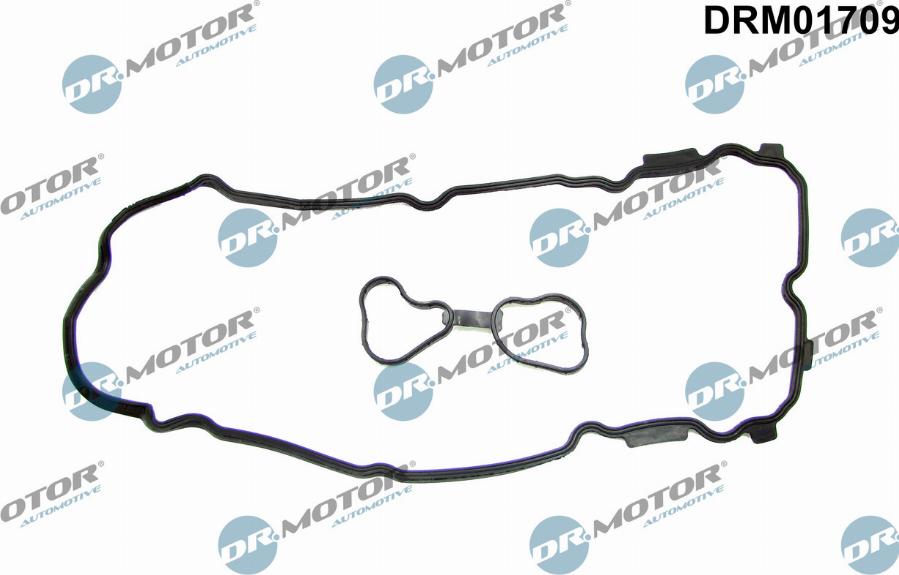 Dr.Motor Automotive DRM01709 - Gasket, cylinder head cover autospares.lv