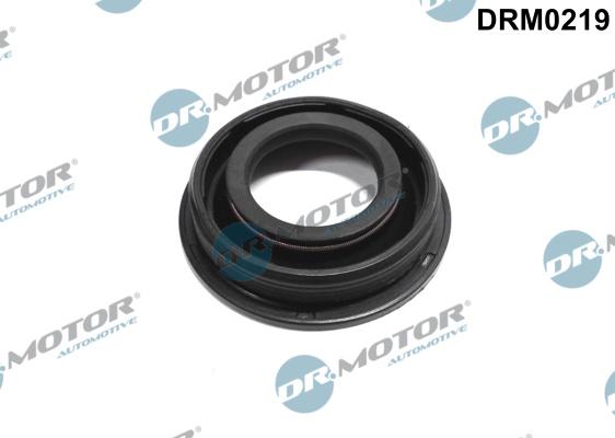 Dr.Motor Automotive DRM0219 - Heat Shield, injection system autospares.lv