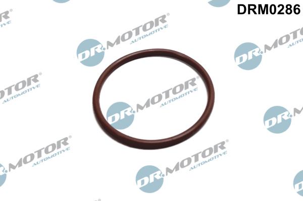 Dr.Motor Automotive DRM0286 - Gasket, fuel pump autospares.lv