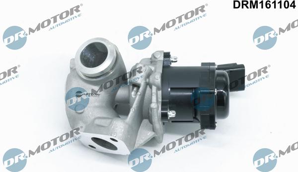 Dr.Motor Automotive DRM161104 - EGR Valve autospares.lv