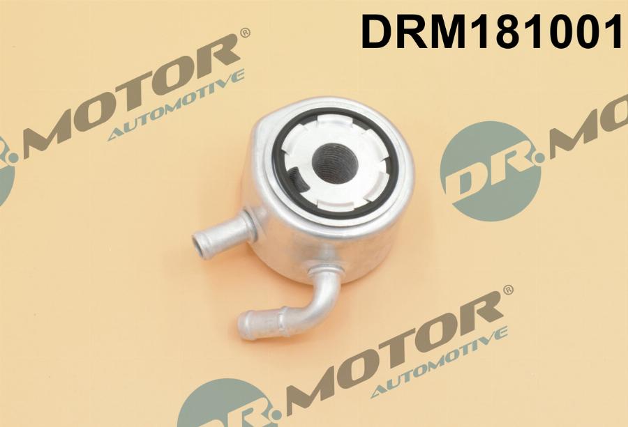 Dr.Motor Automotive DRM181001 - Oil Cooler, engine oil autospares.lv