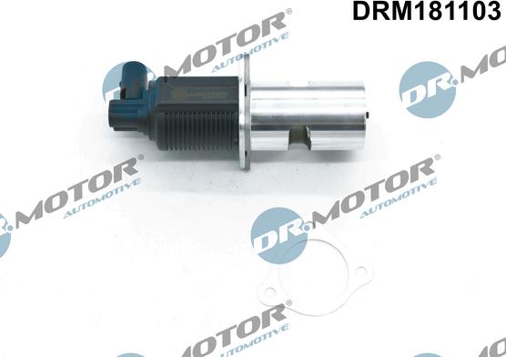 Dr.Motor Automotive DRM181103 - EGR Valve autospares.lv