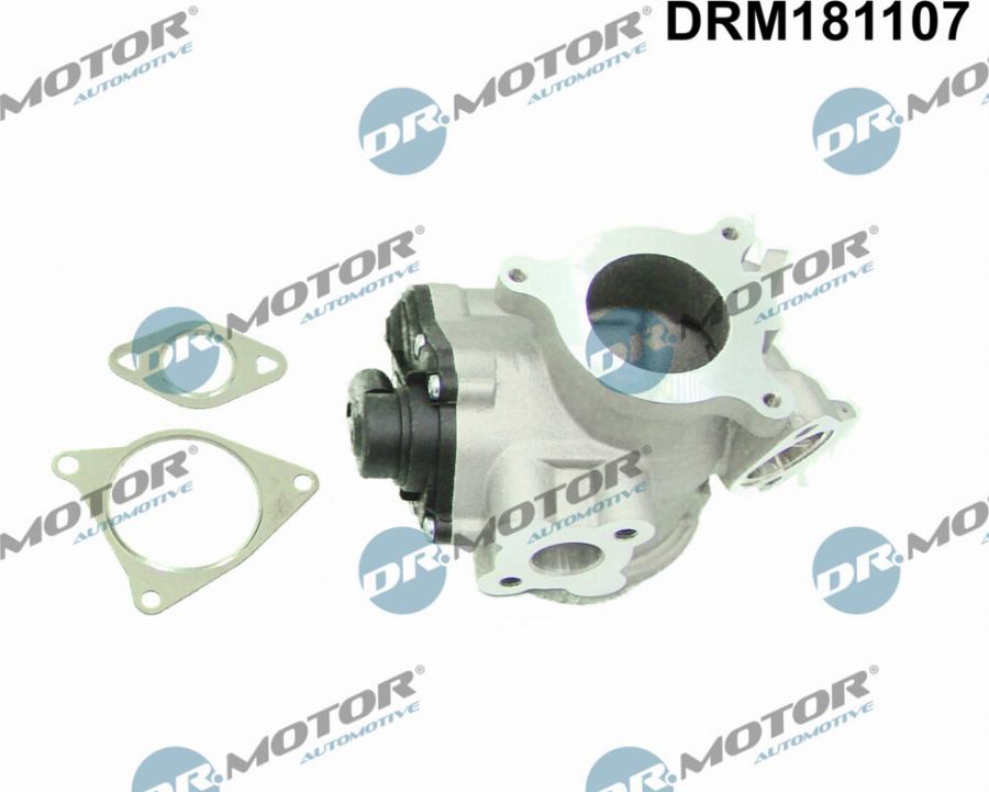 Dr.Motor Automotive DRM181107 - EGR Valve autospares.lv