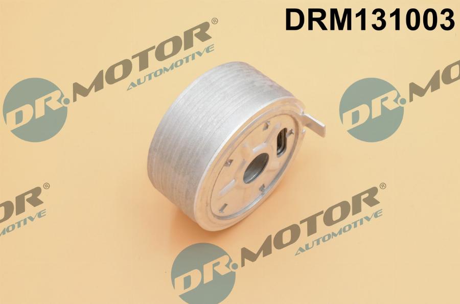 Dr.Motor Automotive DRM131003 - Oil Cooler, engine oil autospares.lv