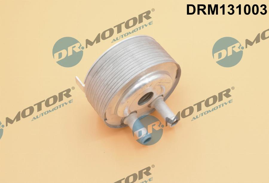 Dr.Motor Automotive DRM131003 - Oil Cooler, engine oil autospares.lv