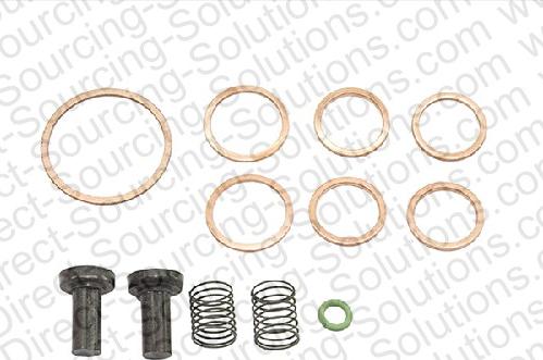 DSS 103315 - Repair Kit, hand feed pump autospares.lv