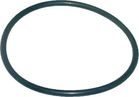 DSS 202383 - Seal Ring autospares.lv