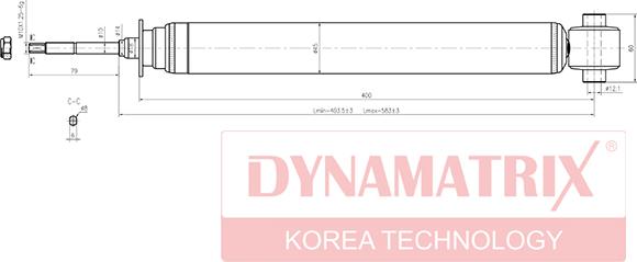 Dynamatrix DSA341231 - Shock Absorber autospares.lv