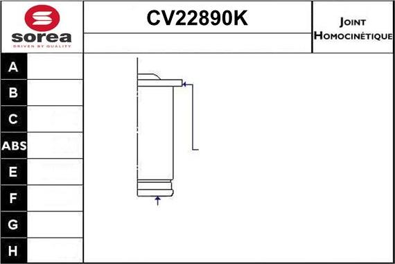 EAI CV22890K - Joint Kit, drive shaft autospares.lv