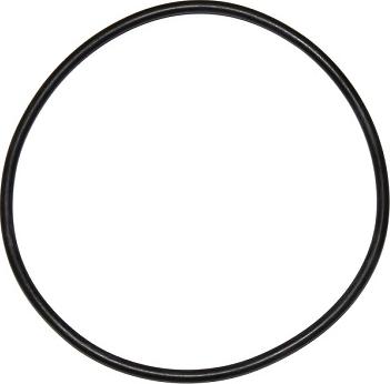 Elring 000.924 - Seal Ring autospares.lv