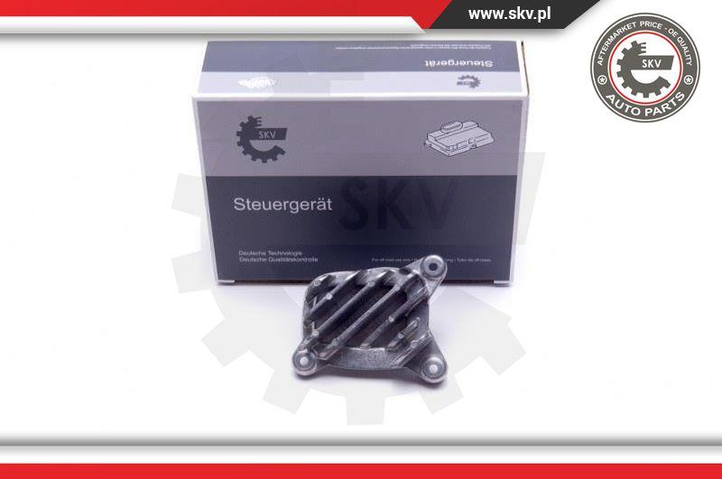 Esen SKV 59SKV133 - Control Unit, lights autospares.lv