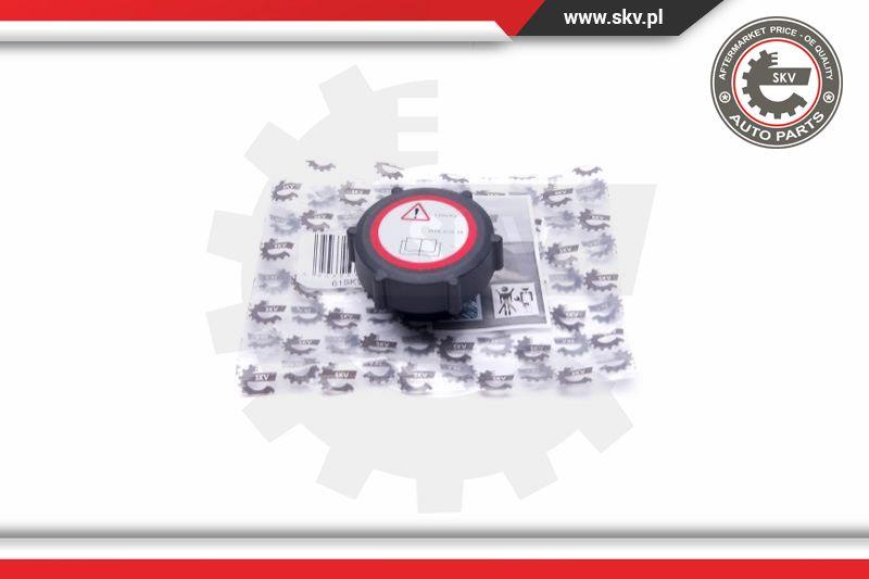 Esen SKV 61SKV006 - Sealing Cap, coolant tank autospares.lv