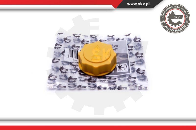 Esen SKV 61SKV007 - Sealing Cap, coolant tank autospares.lv