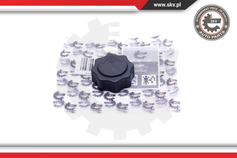 Esen SKV 61SKV016 - Sealing Cap, coolant tank autospares.lv