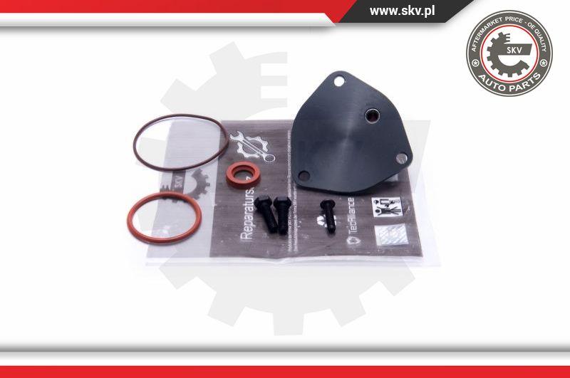 Esen SKV 18SKV806 - Repair Set, vacuum pump (braking system) autospares.lv