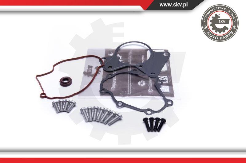 Esen SKV 18SKV802 - Repair Set, vacuum pump (braking system) autospares.lv