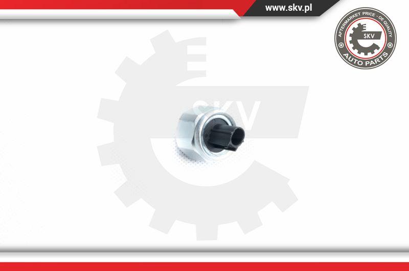 Esen SKV 17SKV360 - Knock Sensor autospares.lv