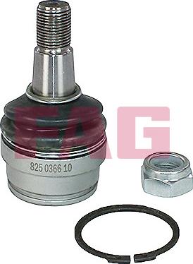 FAG 825 0366 10 - Ball Joint autospares.lv