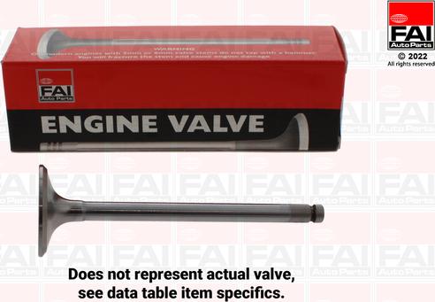 FAI AutoParts EV181019 - Outlet valve autospares.lv