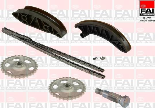 FAI AutoParts TCK235NG - Timing Chain Kit autospares.lv