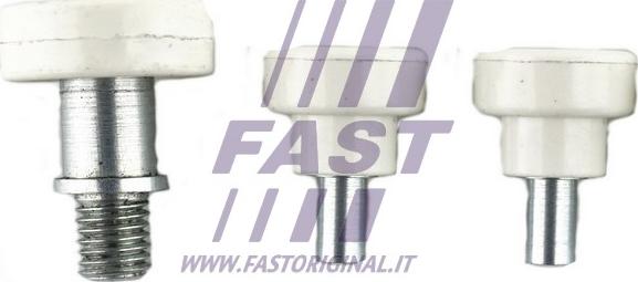Fast FT95536 - Roller Guide, sliding door autospares.lv