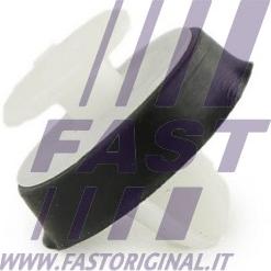 Fast FT96309 - Clip, trim / protective strip autospares.lv