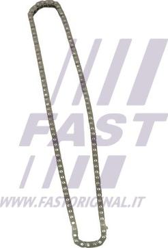 Fast FT41808 - Timing Chain autospares.lv