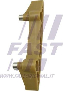 Fast FT41706 - Guides, timing chain autospares.lv