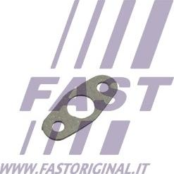 Fast FT48801 - Seal, turbine inlet (charger) autospares.lv