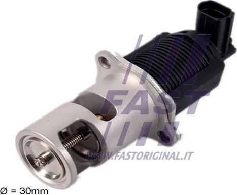 Fast FT60207 - EGR Valve autospares.lv