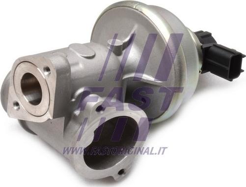 Fast FT60224 - EGR Valve autospares.lv