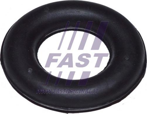 Fast FT84504 - Holder, exhaust system autospares.lv