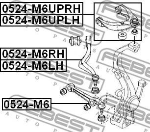 Febest 0524-M6LH - Track Control Arm autospares.lv