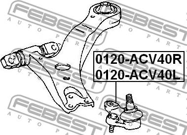 Febest 0120-ACV40L - Ball Joint autospares.lv