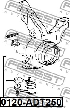 Febest 0120-ADT250 - Ball Joint autospares.lv