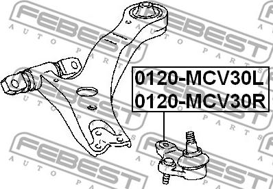 Febest 0120-MCV30R - Ball Joint autospares.lv