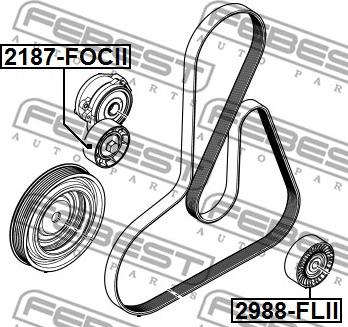 Febest 2988-FLII - Pulley, v-ribbed belt autospares.lv