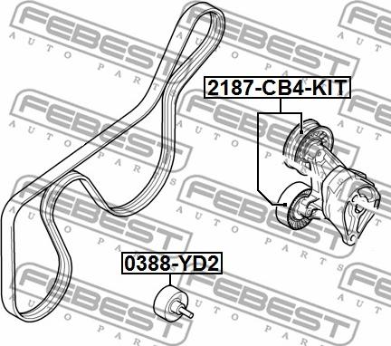 Febest 2187-CB4-KIT - Pulley, v-ribbed belt autospares.lv