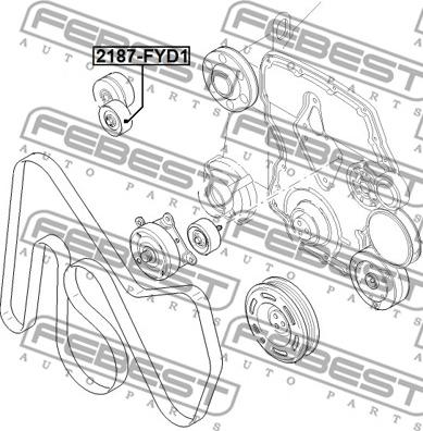 Febest 2187-FYD1 - Pulley, v-ribbed belt autospares.lv