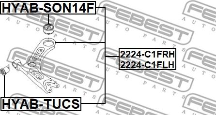 Febest 2224-C1FRH - Track Control Arm autospares.lv