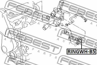 Febest RINGWH-B5 - Gasket, coolant flange autospares.lv
