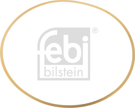 Febi Bilstein 49541 - O-Ring, cylinder sleeve autospares.lv