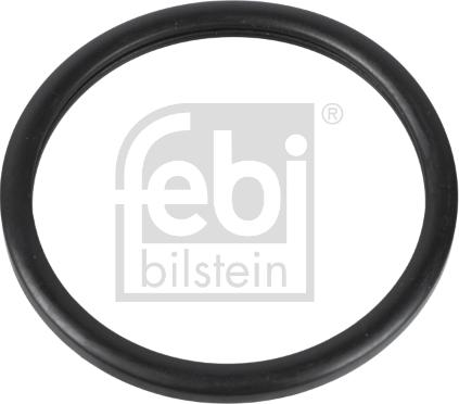 Febi Bilstein 10255 - Gasket, thermostat autospares.lv