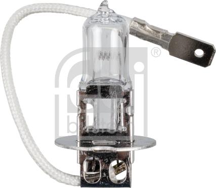 Febi Bilstein 173276 - Bulb, fog light autospares.lv