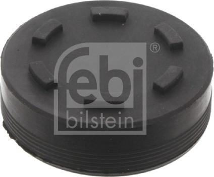 Febi Bilstein 32255 - Locking Cover, camshaft autospares.lv