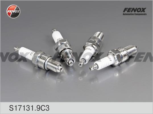 Fenox S17131.9C3 - Spark Plug autospares.lv