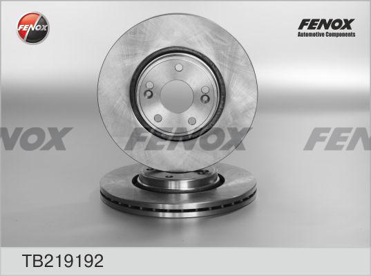 Fenox TB219192 - Brake Disc autospares.lv