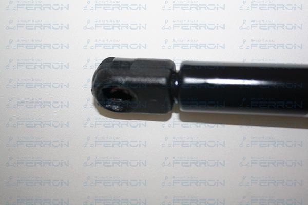 FERRON 69 - Gas Spring, boot, cargo area autospares.lv