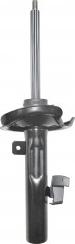 FI.BA FSA232 - Shock Absorber autospares.lv