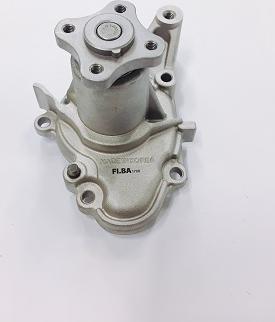 FI.BA WPF005 - Water Pump autospares.lv